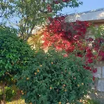 - Olive House Holiday home