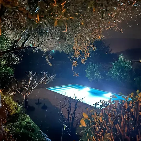 - Olive House Holiday home