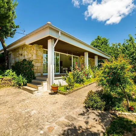 - Olive House * Areias de Vilar