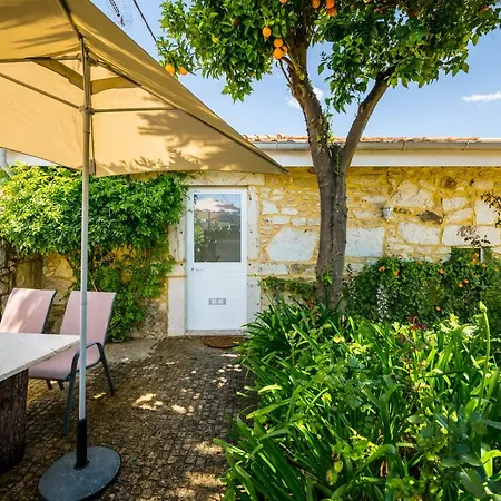 - Olive House Areias de Vilar