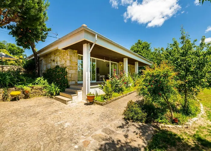 - Olive House * Areias de Vilar