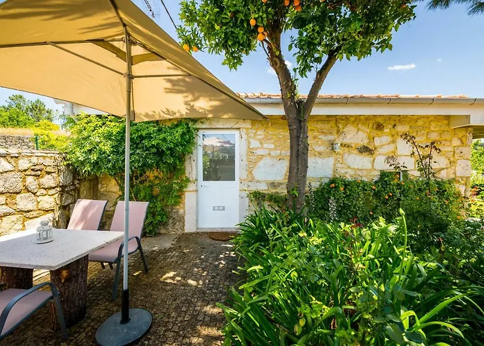 - Olive House Areias de Vilar